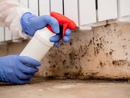 Trusted Lanark, IL Mold Remediation Experts